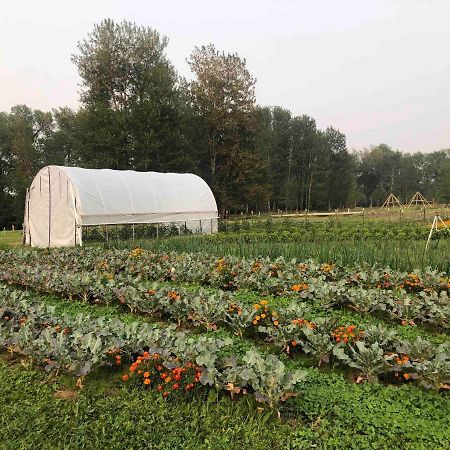 Bodhi Farms 호텔 보즈먼 외부 사진